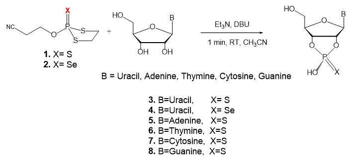 One-pot synthesis of (Sp, exo) nucleoside-2’,3’-O,O-phosphorothioate/selenoate. 